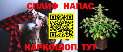 дживик Ливны