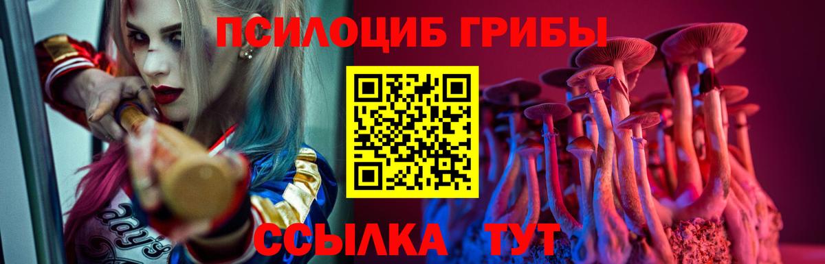 Ейск  Псилоцибиновые грибы Psilocybine cubensis  Вход с VPN 